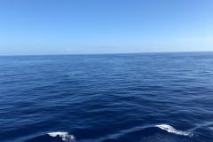 Oasis-February-2020-00593