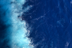 Oasis-February-2020-00596