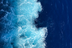 Oasis-February-2020-00598