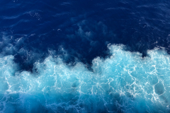 Oasis-February-2020-00599