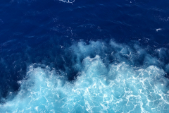 Oasis-February-2020-00600