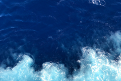 Oasis-February-2020-00601