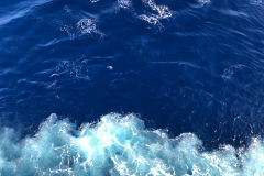 Oasis-February-2020-00602