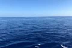 Oasis-February-2020-00604