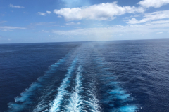 Oasis-February-2020-00629