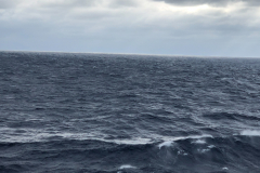 Oasis-February-2020-00650