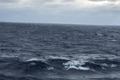 Oasis-February-2020-00660