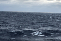 Oasis-February-2020-00662