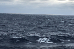 Oasis-February-2020-00663