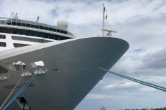 Oasis-February-2020-00725