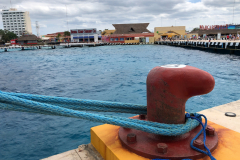 Oasis-February-2020-00728