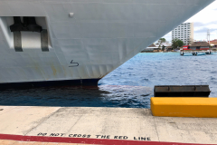 Oasis-February-2020-00736