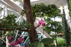 Oasis-February-2020-00738