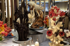 Oasis-February-2020-00790