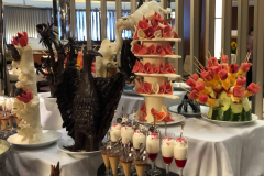 Oasis-February-2020-00791