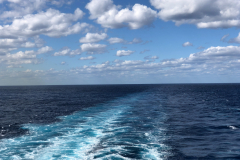 Oasis-February-2020-00811