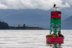Point Retreat Lighthouse in the background