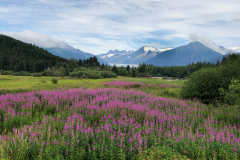 Juneau