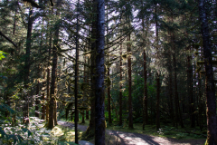 Alaska