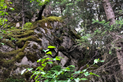 Alaska
