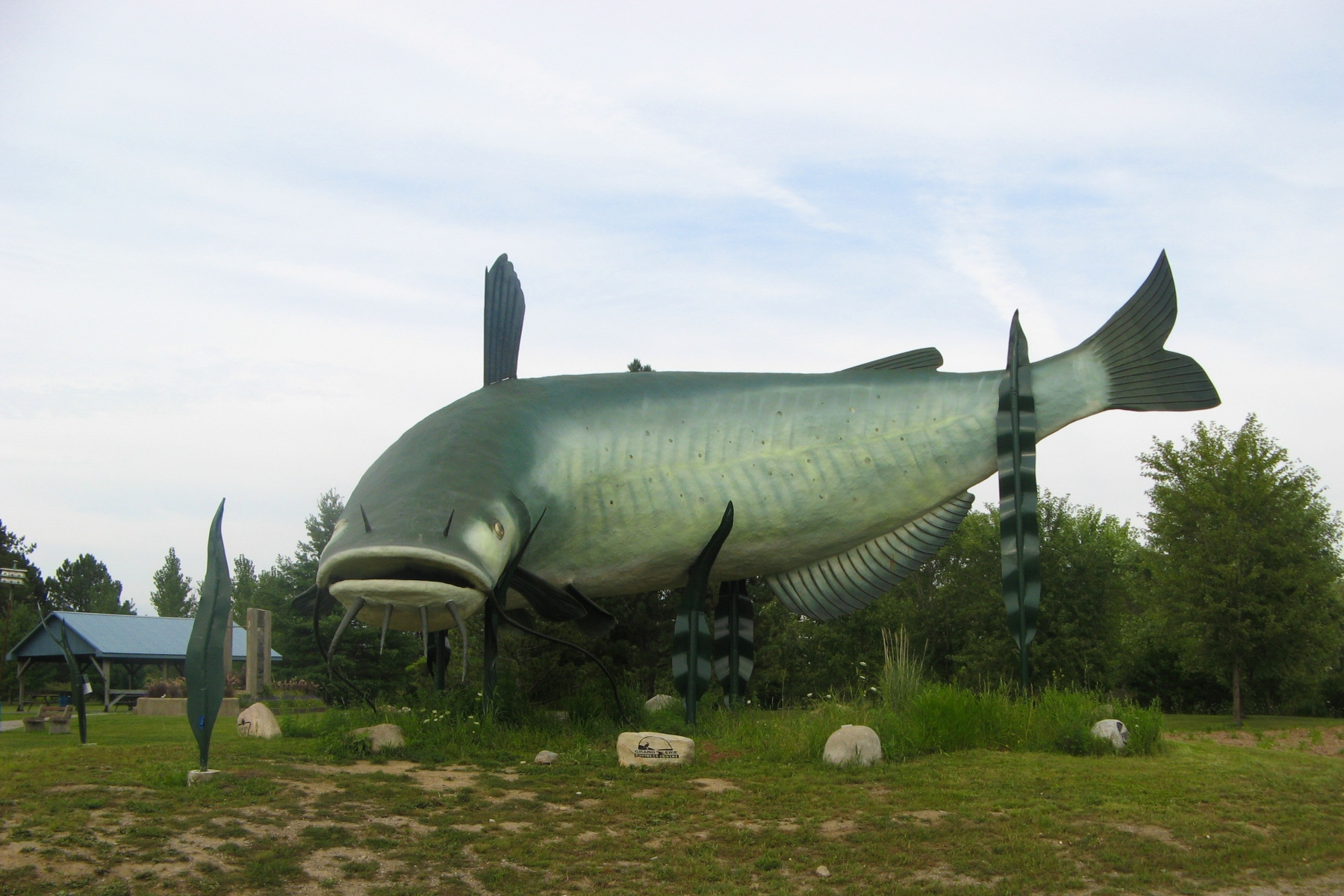 World’s Largest Mudcat ( Catfish ) Sculpture Nick Wanders The Globe