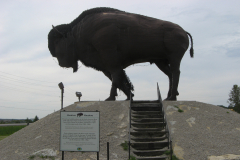 Manitou ( aka  Earl ) Bison