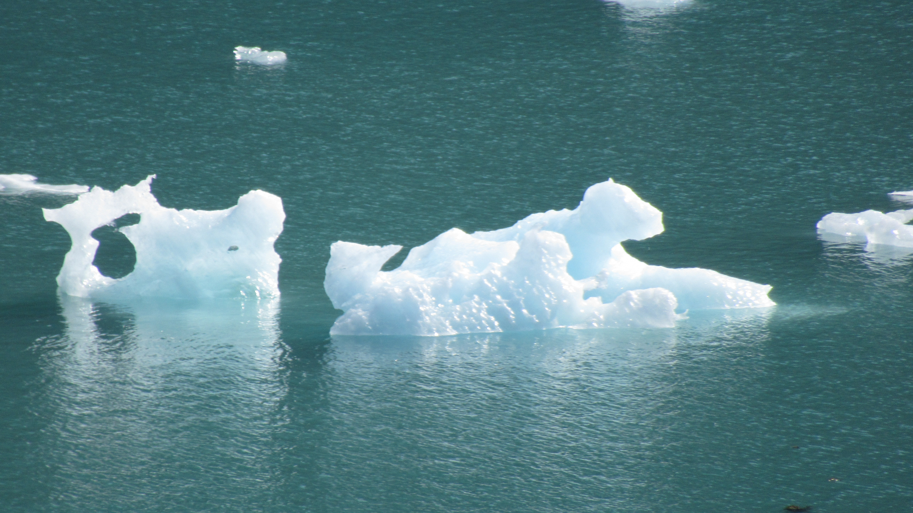 Glacial Icebergs