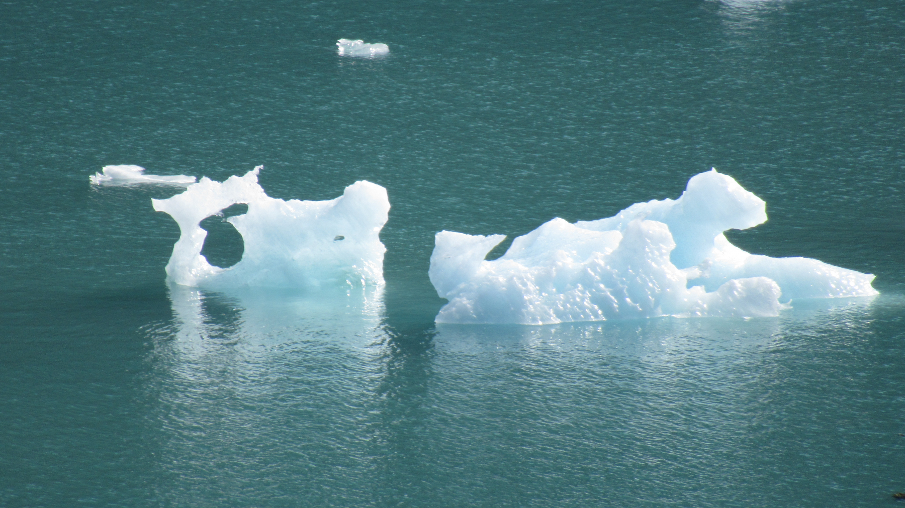 Glacial Icebergs