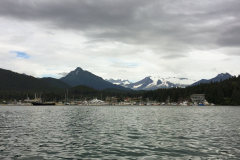 Glacial Icebergs