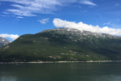 Glacial Icebergs
