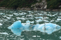 Glacial Icebergs