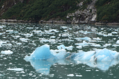 Glacial Icebergs