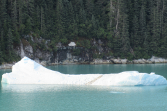 Glacial Icebergs