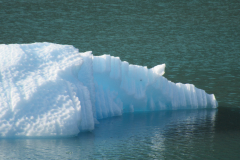Glacial Icebergs