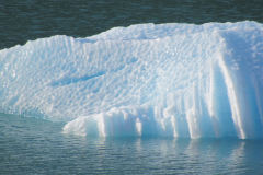 Glacial Icebergs