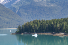 Glacial Icebergs