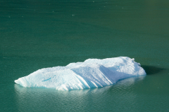 Glacial Icebergs