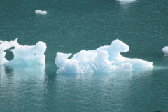 Glacial Icebergs