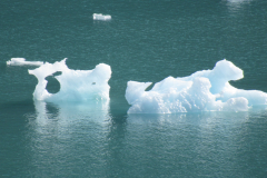 Glacial Icebergs