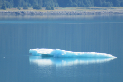Glacial Icebergs