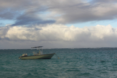 25731-IMG_0895