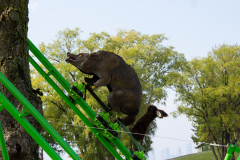 48290-IMG_5970-Edit