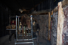 48637-IMG_6094