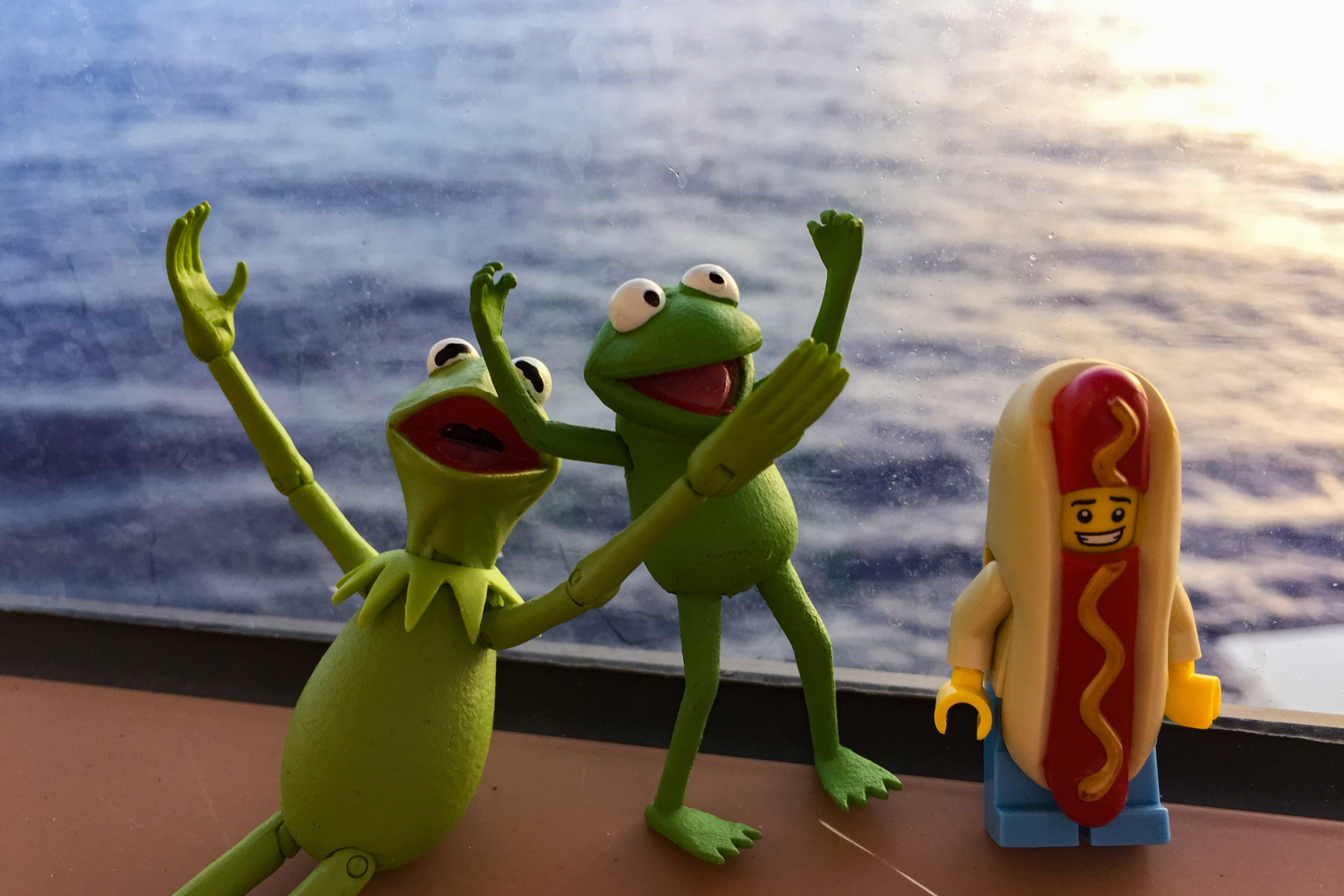 Kermit and Mr Hot Dog Lego Guy Go On A Cruise