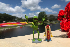 Kermit and Mr Hot Dog Lego Guy walk around The Flower And Graden