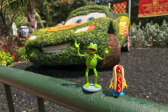 Kermit and Mr Hot Dog Lego Guy Walk Along The Humber River by th
