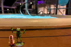 Kermit and Mr Hot Dog Lego Guy check out a Hot Tub on Royal Cari