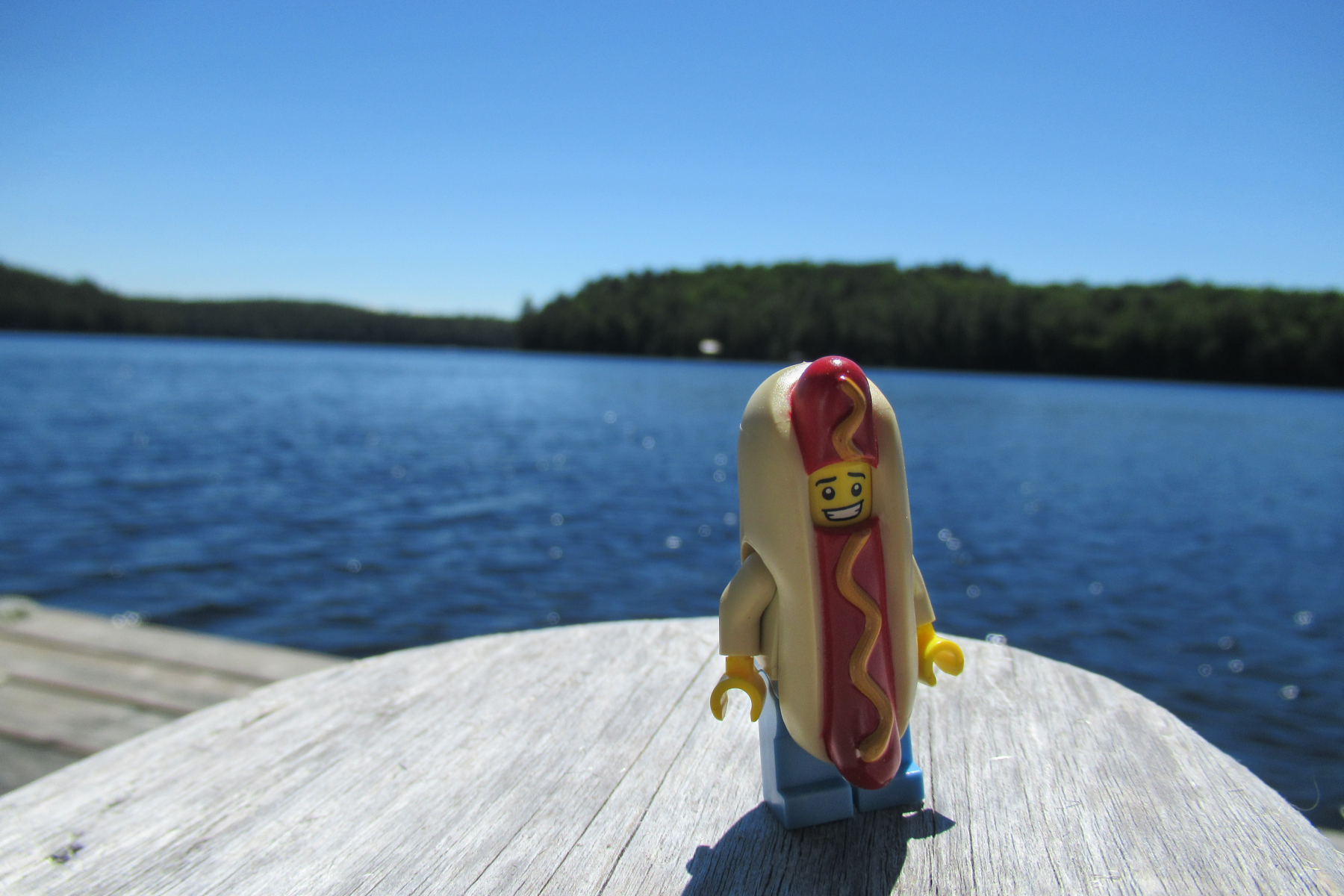 Lego Hot Dog Man checking out  Northern Ontario ,Canada