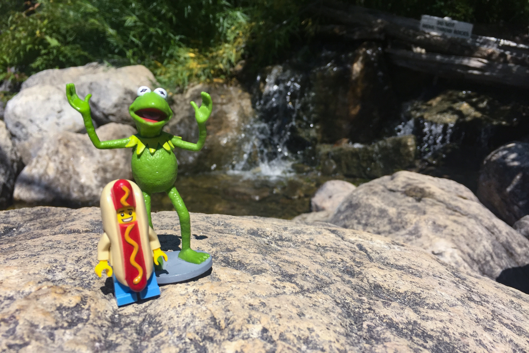 Kermit and Mr Hot Dog Lego Guy Small Waterfall in The Blue Mount