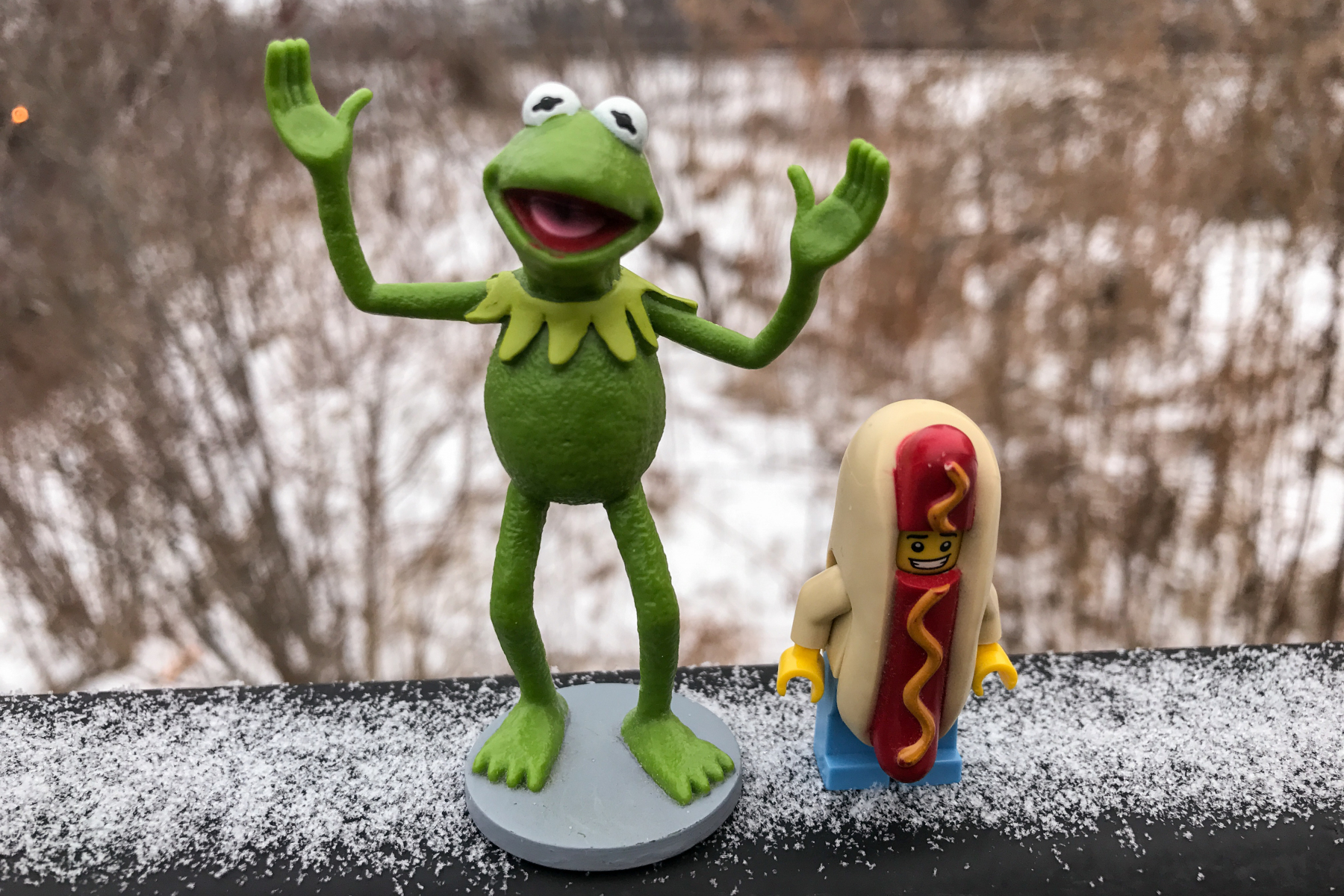 Kermit and Mr Hotdog Lego Guy take a walk in the fresh fallen sn